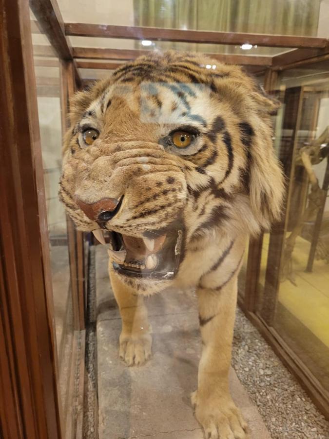Corbett Veda Inn รามนาการ์ ภายนอก รูปภาพ